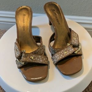 Etienne Aiger slides